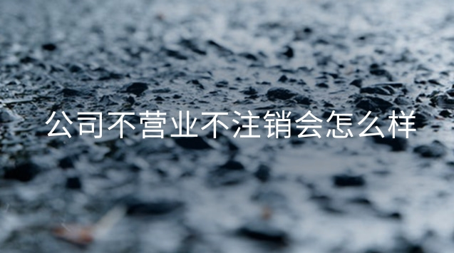 公司不營業不注銷會怎么樣